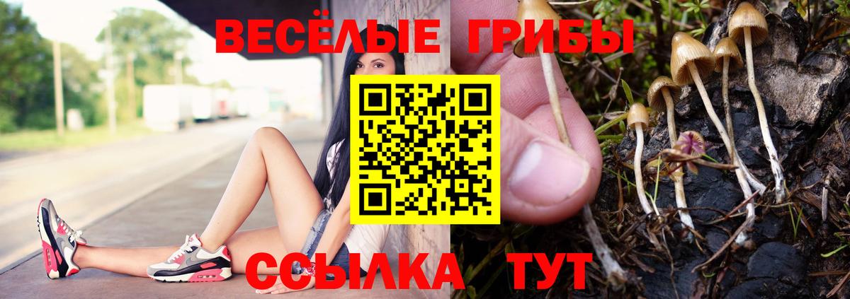 Камень-на-Оби  Галлюциногенные грибы MAGIC MUSHROOMS  Вход с VPN 